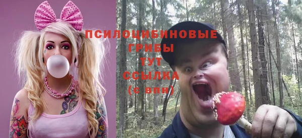 скорость Гусь-Хрустальный