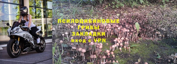 mdpv Гусиноозёрск