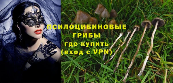 меф VHQ Гусев